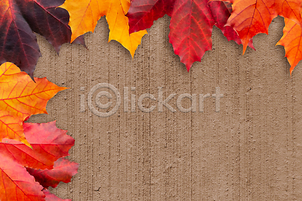 사람없음 JPG 포토 해외이미지 가을(계절) 낙엽 단풍 백그라운드 잎 자연 카피스페이스 해외202004 해외202105