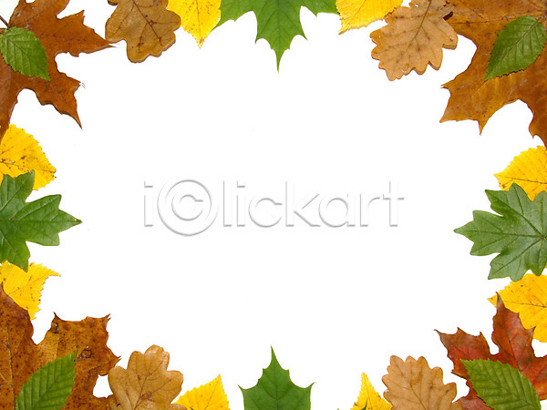 사람없음 JPG 포토 해외이미지 가을(계절) 낙엽 단풍 백그라운드 잎 카피스페이스 프레임 해외202004 해외202105
