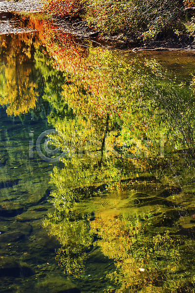 사람없음 JPG 포토 해외이미지 가을(계절) 강 개울 나뭇가지 단풍 반사 백그라운드 수면 야외 잎 자연 주간 풍경(경치) 해외202004 해외202105 호수