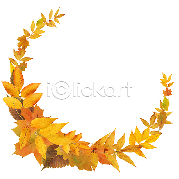 사람없음 JPG 포토 해외이미지 가을(계절) 낙엽 백그라운드 액자 잎 자연 캔버스 해외202004 해외202105