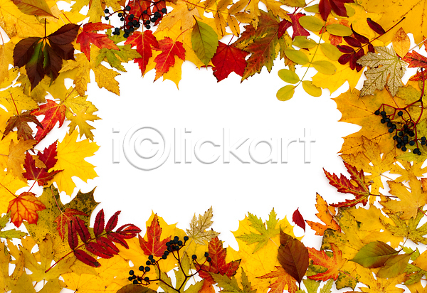 사람없음 JPG 포토 해외이미지 가을(계절) 낙엽 단풍 백그라운드 잎 자연 프레임 해외202004 해외202105