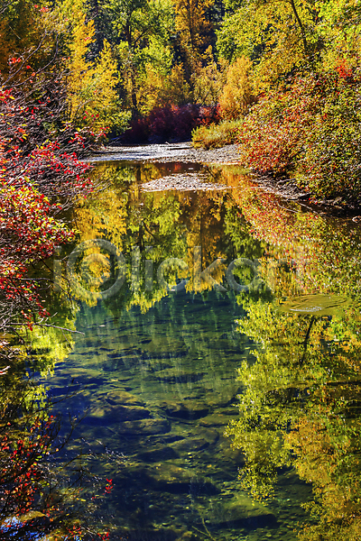 사람없음 JPG 포토 해외이미지 가을(계절) 강 낙엽 단풍 반사 백그라운드 야외 잎 주간 풍경(경치) 해외202004 해외202105 호수