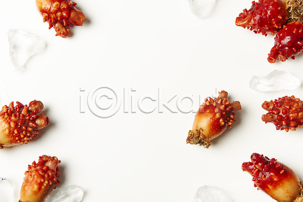 사람없음 JPG 포토 하이앵글 멍게 스튜디오촬영 실내 얼음 음식 프레임 플랫레이 해산물 흰배경