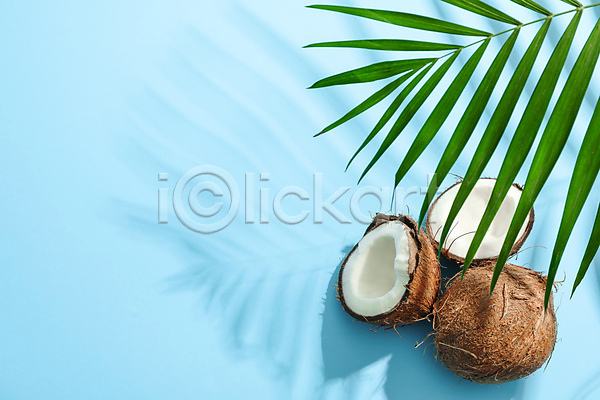 사람없음 JPG 포토 해외이미지 단면 실내 열대과일 잎 코코넛 파란배경