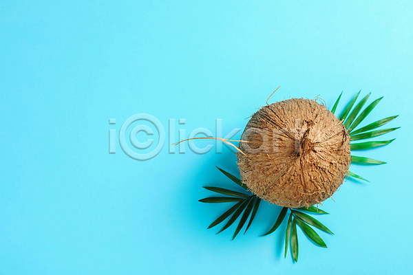 사람없음 JPG 포토 하이앵글 해외이미지 실내 열대과일 잎 코코넛 파란배경