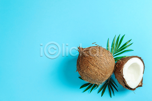 사람없음 JPG 포토 해외이미지 실내 열대과일 잎 코코넛 파란배경