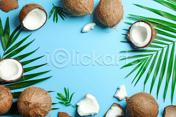 사람없음 JPG 포토 하이앵글 해외이미지 실내 여름(계절) 열대과일 잎 코코넛 파란배경 프레임 플랫레이