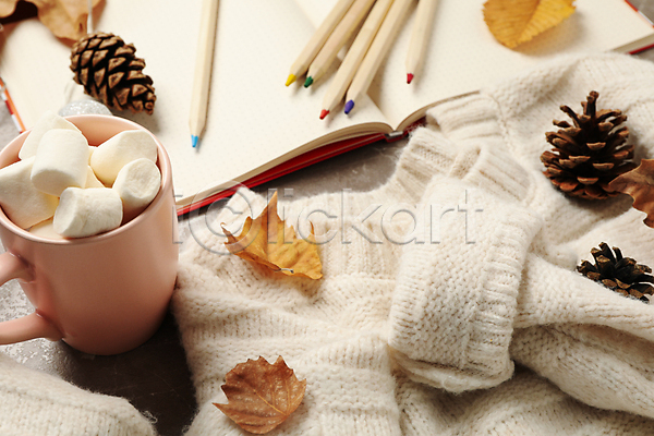 사람없음 JPG 포토 해외이미지 가을(계절) 낙엽 다이어리 마시멜로우 머그컵 색연필 솔방울 스웨터 실내