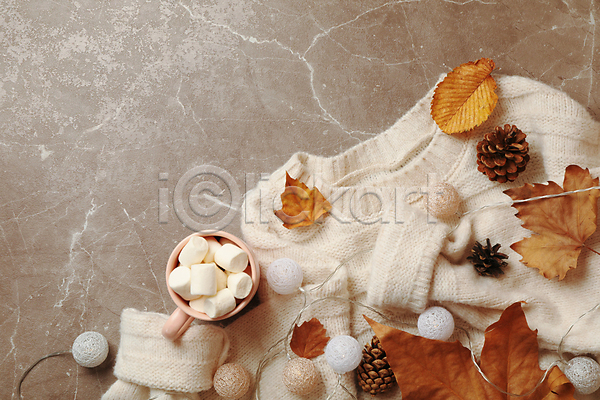 사람없음 JPG 포토 하이앵글 해외이미지 가을(계절) 낙엽 마시멜로우 머그컵 베이지색배경 솔방울 스웨터 실내 오너먼트