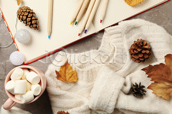 사람없음 JPG 포토 하이앵글 해외이미지 가을(계절) 낙엽 다이어리 마시멜로우 머그컵 색연필 솔방울 스웨터 실내 오너먼트 회색배경