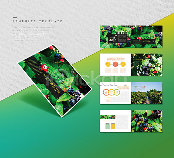 사람없음 INDD ZIP 인디자인 템플릿 과일캐릭터 리플렛 밭 배송 복분자 잎 초록색 최고 팜플렛
