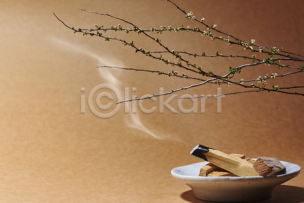 사람없음 JPG 포토 갈색배경 나무조각 나뭇가지 스튜디오촬영 실내 아로마 아로마테라피 연기 접시 팔로산토 향