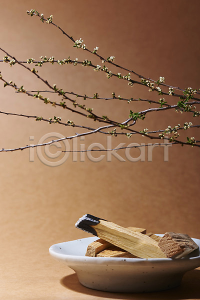사람없음 JPG 포토 갈색배경 나무조각 나뭇가지 스튜디오촬영 실내 아로마 아로마테라피 접시 팔로산토 향