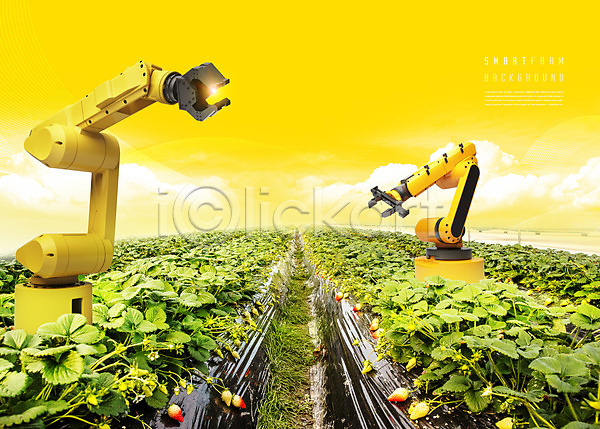사람없음 PSD 편집이미지 AI(인공지능) 구름(자연) 노란색 농사 딸기밭 로봇 스마트팜 하늘