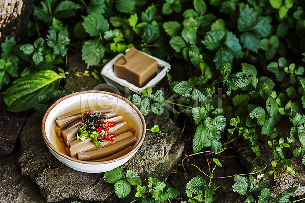 사람없음 JPG 아웃포커스 포토 고명 그릇 나뭇잎 냉국 도토리묵 서울 야외 여름(계절) 주간