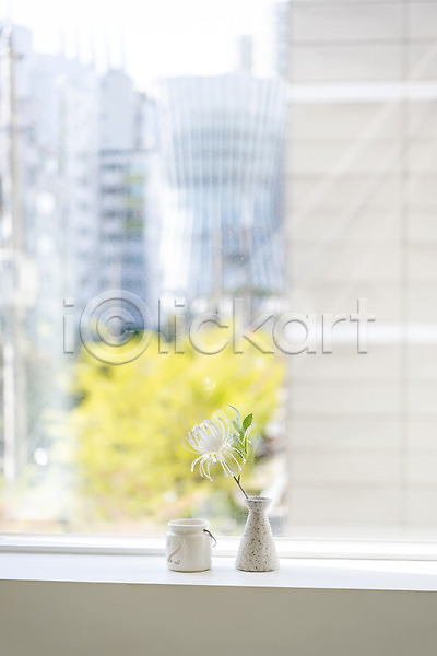 사람없음 JPG 아웃포커스 포토 꽃 꽃병 실내 주간 창가 창문