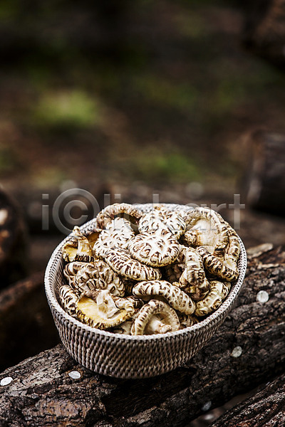사람없음 JPG 아웃포커스 포토 담기 버섯농장 버섯재배 소쿠리 야외 장흥 전라남도 주간 특산물 표고버섯