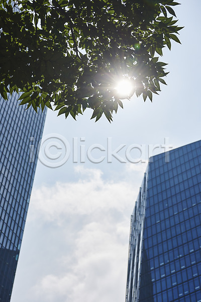 사람없음 JPG 포토 건물 나뭇잎 날씨 더위 빌딩 야외 여름(계절) 여의도 주간 태양 풍경(경치) 하늘 햇빛