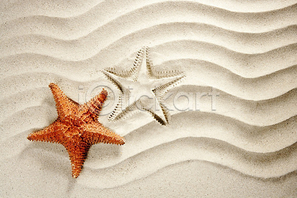 사람없음 JPG 포토 해외이미지 모래 모래사장 바캉스 불가사리 여름(계절) 여름휴가 웨이브 해외202004