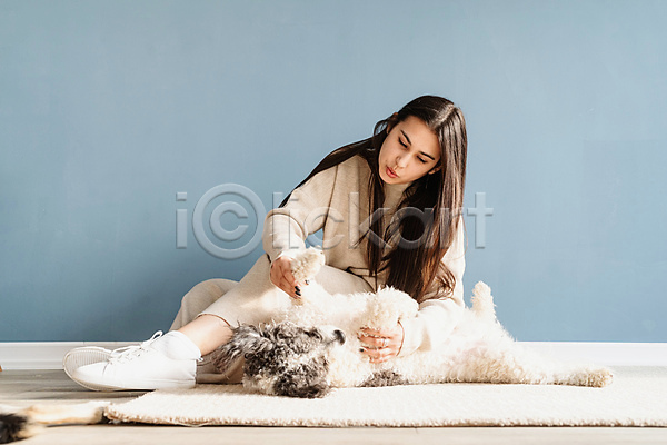 백인 성인 성인여자한명만 여자 한명 JPG 앞모습 포토 해외이미지 강아지 놀이 믹스견 실내 앉기 응시 잡기 전신 주택 카펫 한마리