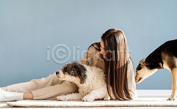 백인 성인 성인여자한명만 여자 한명 JPG 앞모습 포토 해외이미지 강아지 놀이 두마리 믹스견 실내 쓰다듬기 안기 앉기 응시 전신 주택 카펫