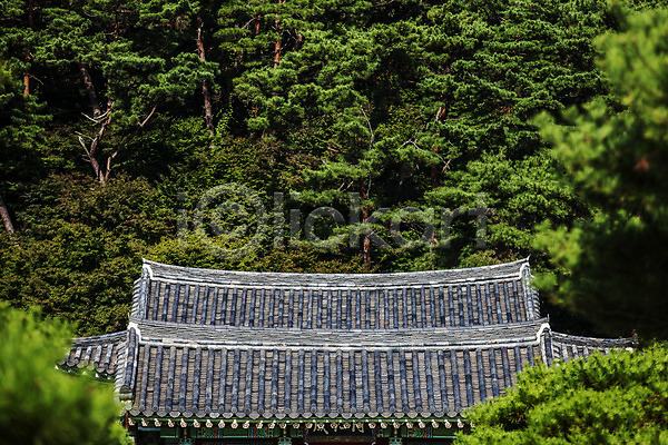 사람없음 JPG 포토 광주 기와지붕 나무 숲 야외 주간 포충사 풍경(경치)