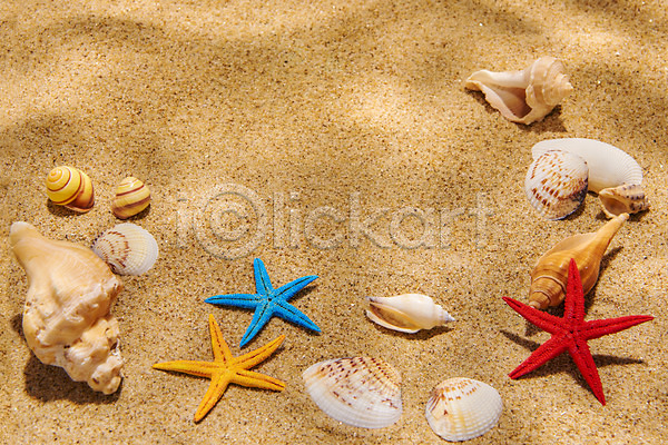 감성 사람없음 JPG 포토 갈색 모래 몽환 물그림자 불가사리 소라 스튜디오촬영 실내 여름(계절) 조개껍데기