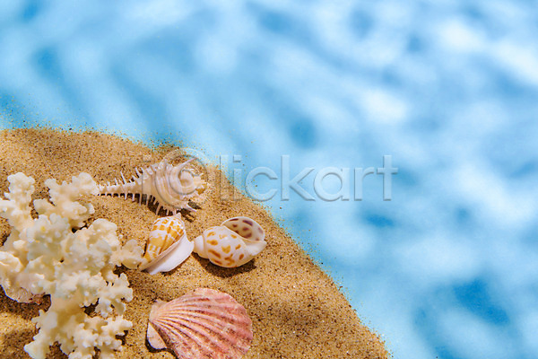 감성 사람없음 JPG 포토 모래 몽환 물결 물그림자 산호 소라 스튜디오촬영 실내 여름(계절) 조개껍데기 파란색