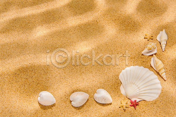 감성 사람없음 JPG 포토 하이앵글 갈색 모래 몽환 물그림자 불가사리 소라 스튜디오촬영 실내 여름(계절) 조개껍데기