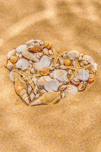 감성 사랑 사람없음 JPG 포토 갈색 모래 몽환 물그림자 불가사리 소라 스튜디오촬영 실내 여름(계절) 조개껍데기 하트