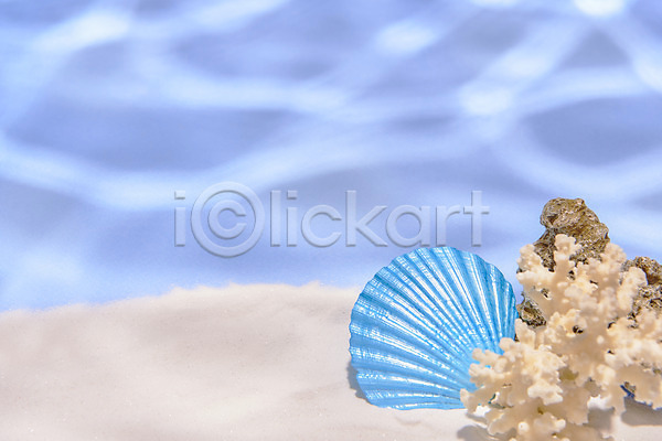 감성 사람없음 JPG 포토 돌(바위) 모래 몽환 물결 물그림자 산호 스튜디오촬영 실내 여름(계절) 조개껍데기 파란색