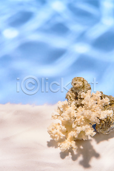 감성 사람없음 JPG 포토 돌(바위) 모래 몽환 물결 물그림자 산호 스튜디오촬영 실내 여름(계절) 파란색