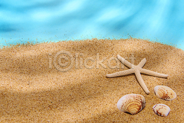 감성 사람없음 JPG 포토 갈색 모래 몽환 물결 물그림자 불가사리 스튜디오촬영 실내 여름(계절) 조개껍데기