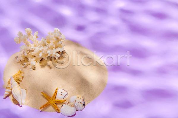 감성 사람없음 JPG 포토 모래 몽환 물결 물그림자 분홍색 불가사리 산호 소라 스튜디오촬영 실내 여름(계절) 조개껍데기