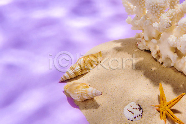 감성 사람없음 JPG 포토 모래 몽환 물결 물그림자 분홍색 불가사리 산호 소라 스튜디오촬영 실내 여름(계절) 조개껍데기