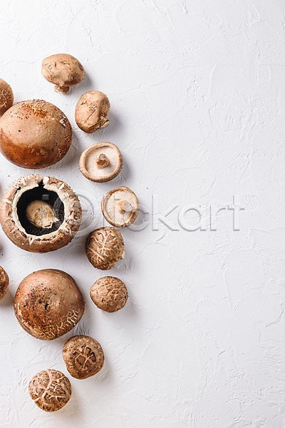 사람없음 JPG 포토 하이앵글 해외이미지 실내 양송이 여러개 카피스페이스 표고버섯 흰배경