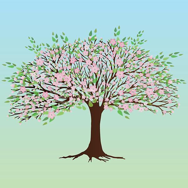 사람없음 EPS 일러스트 해외이미지 그라데이션 나무뿌리 나뭇잎 벚꽃 벚나무 봄 연두색 하늘색