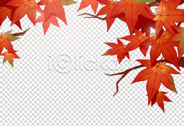 사람없음 PNG 편집이미지 가을(계절) 나뭇가지 누끼 단풍 단풍나무 사계절 편집 편집소스