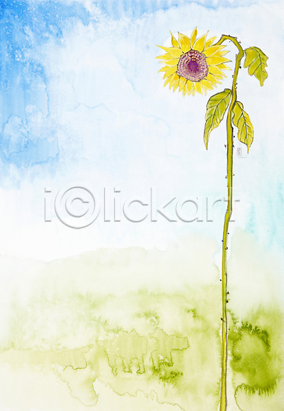 사람없음 JPG 일러스트 공백 그림 꽃 노란색 미술 백그라운드 수채화(물감) 시화 식물 잎 자연 컬러 풍경(경치) 한송이 해바라기