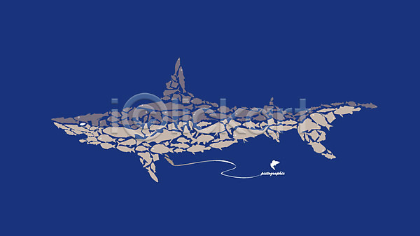 사람없음 AI(파일형식) 일러스트 그래픽 동물 디자인 모양 무늬 문양 바다동물 상어 어류 오브젝트 패턴 한마리