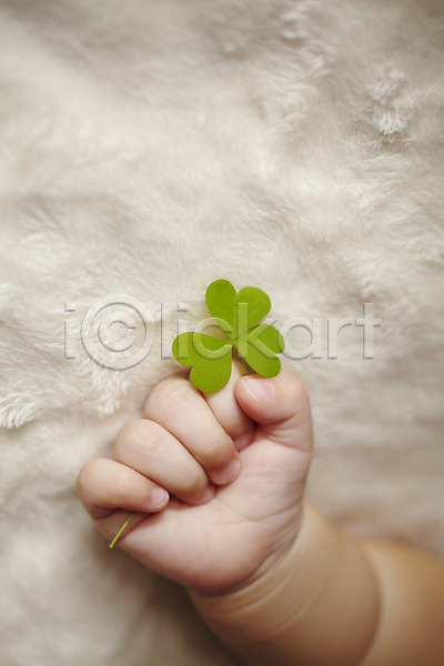 사람 신체부위 아기 아기만 여자 한명 JPG 포토 담요 세잎클로버 손 식물 신체 이불 잎 잡기 클로버