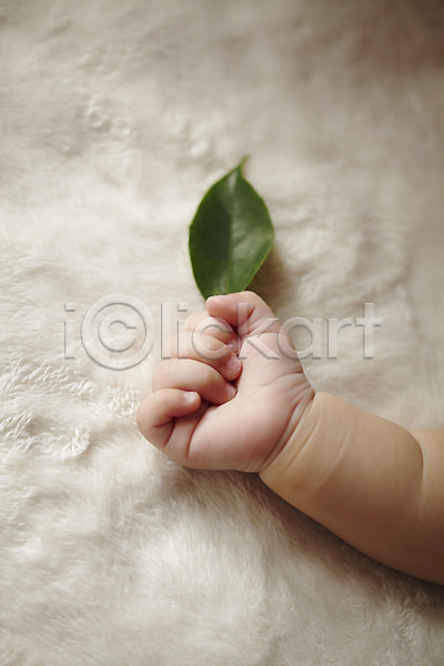 사람 신체부위 아기 아기만 여자 한명 JPG 포토 나뭇잎 담요 손 식물 신체 이불 잎 잡기