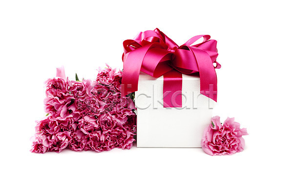 감사 사람없음 JPG 포토 기념일 꽃 누끼 리본 분홍색 상자 선물 선물상자 선물포장 스튜디오촬영 식물 실내 여러송이 오브젝트 이벤트 잎 장식 카네이션 컬러 포장