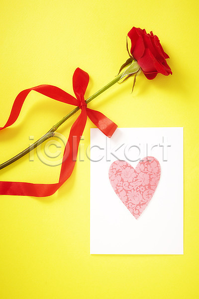 사랑 사람없음 JPG 포토 꽃 리본 빨간색 스튜디오촬영 식물 실내 장미 장식 카드(감사) 하트 한송이