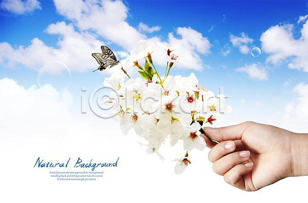 사람 신체부위 한명 PSD 편집이미지 곤충 공기방울 구름(자연) 꽃 나비 동물 물방울 벚꽃 손 손짓 식물 하늘