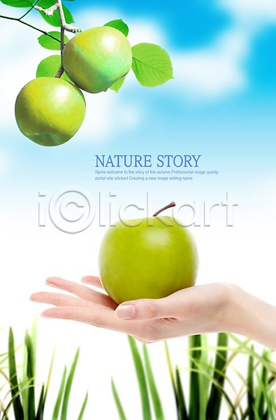 사람 신체부위 한명 PSD 편집이미지 과일 구름(자연) 나뭇가지 사과(과일) 사과나무 손 손짓 청사과 초록색 풀(식물) 하늘