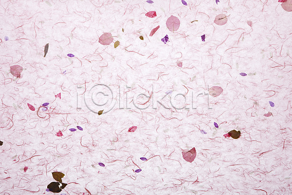 사람없음 JPG 포토 나뭇잎 무늬 백그라운드 분홍색 스튜디오촬영 식물 실내 오브젝트 잎 전통소품 종이 컨셉 컬러 패턴 한국 한국문화 한국전통 한지