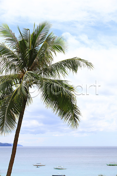 사람없음 JPG 포토 구름(자연) 나무 동남아시아 바다 방카 배(교통) 보라카이 보트 식물 아시아 야외 야자수 여행 열대 자연 주간 풀(식물) 풍경(경치) 필리핀 하늘 한그루 해변 해외 해외풍경 휴가 휴양지