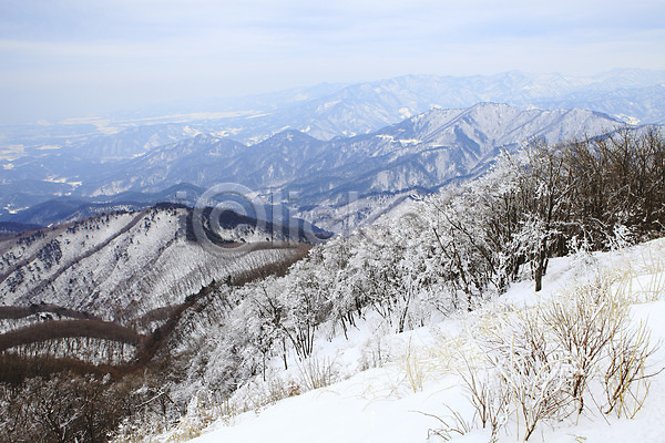 사람없음 JPG 포토 강원도 겨울 겨울산 계절 나무 눈(날씨) 대관령 사계절 산 산등성이 선자령 설경 식물 야외 자연 정산 정상 주간 풍경(경치) 한국