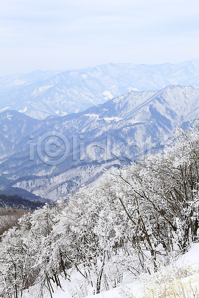 사람없음 JPG 포토 강원도 겨울 겨울산 계절 나무 눈(날씨) 대관령 사계절 산 산등성이 선자령 설경 식물 야외 자연 정산 정상 주간 풍경(경치) 한국